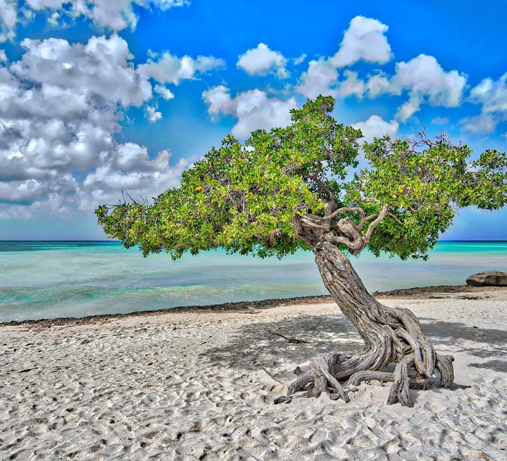 Aruba — destino de luna de miel