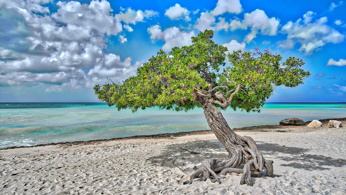 Aruba