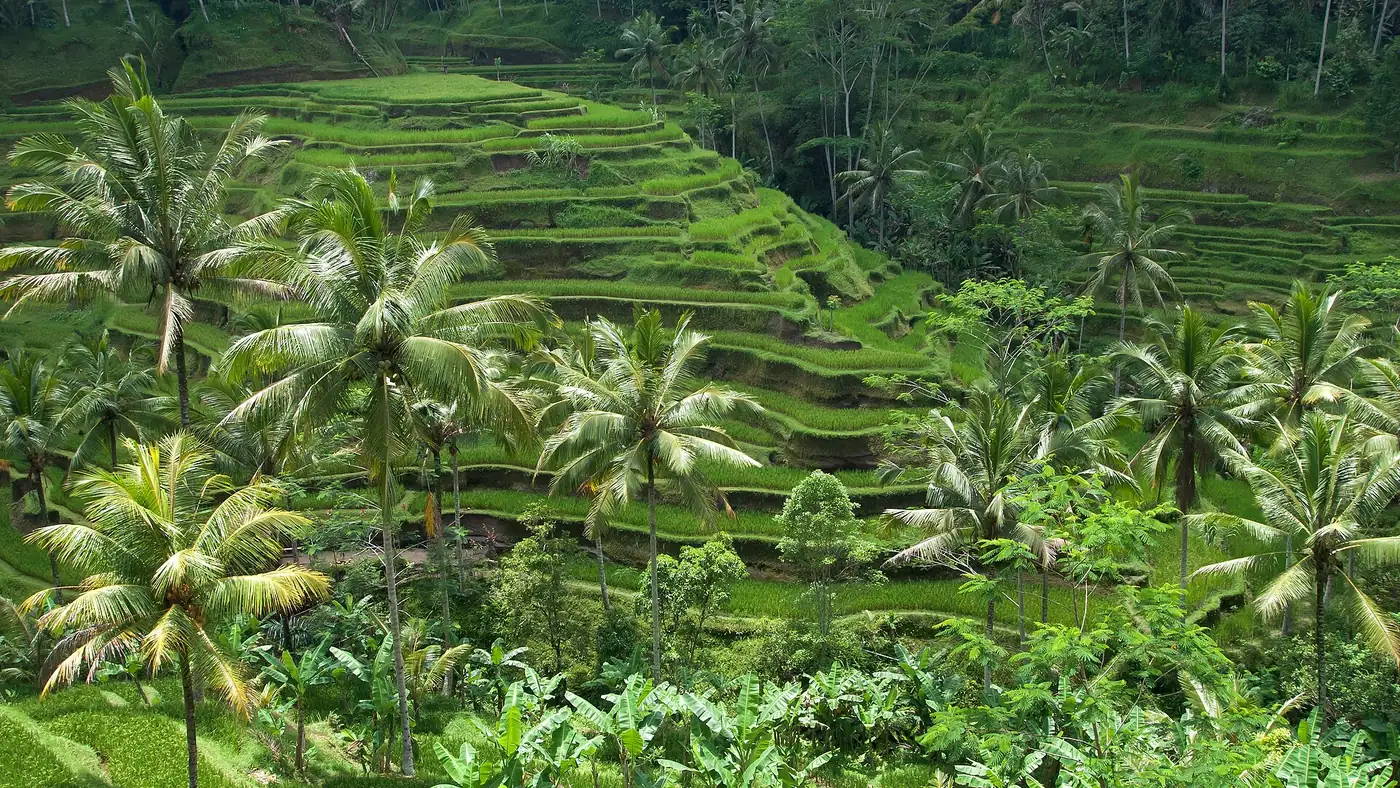 Bali