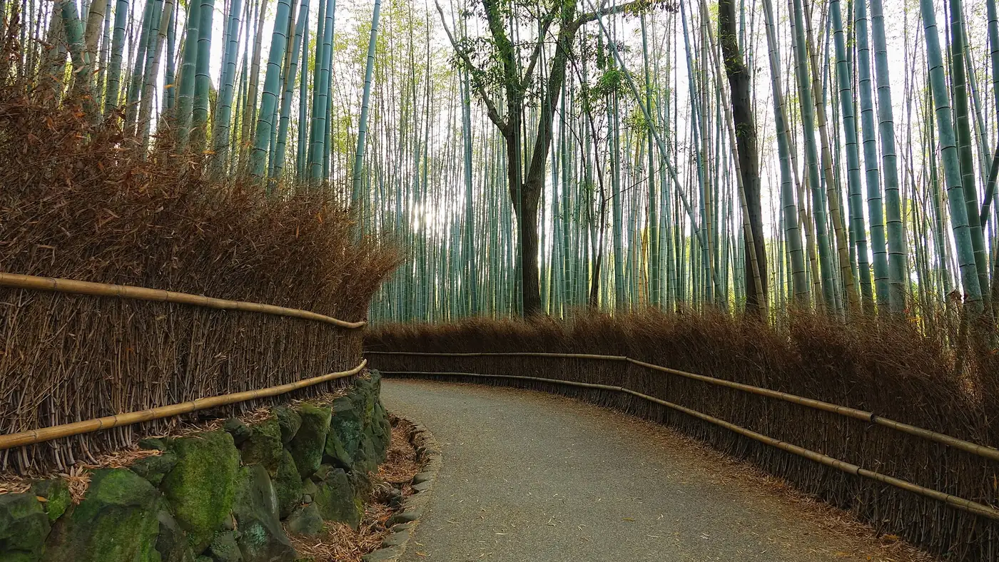 Japón